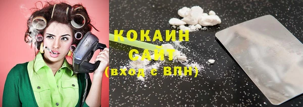 гашик Зерноград