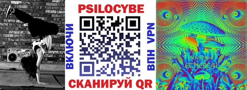 Купить где Камбарка Галлюциногенные грибы GOLDEN TEACHER